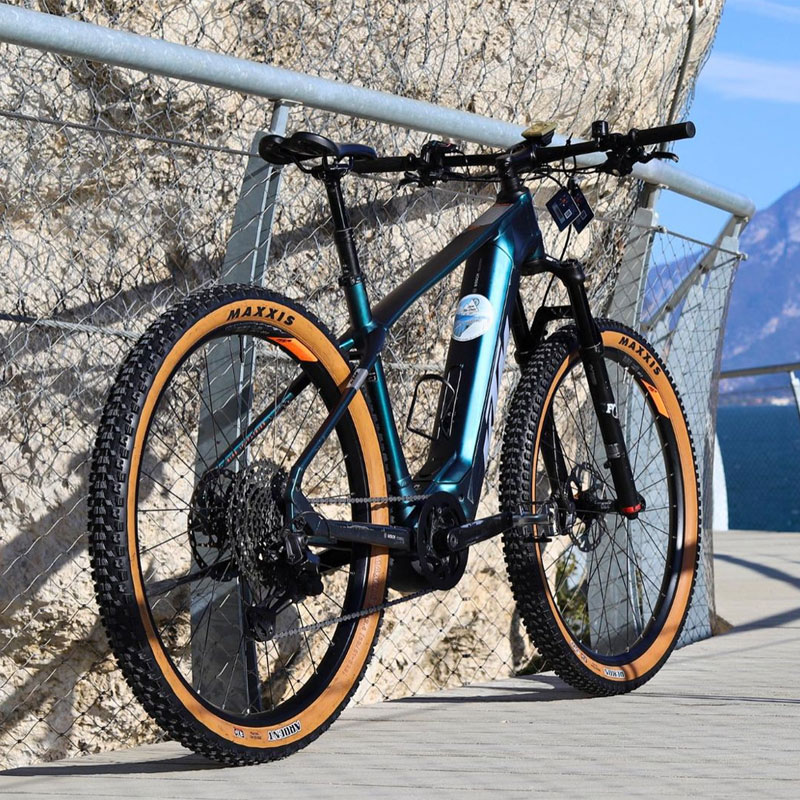 E-MOUNTAIN BIKE