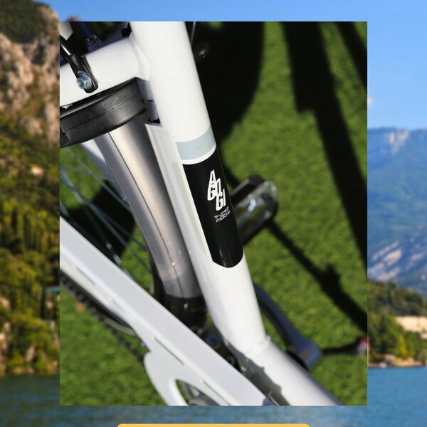 Montana e-city Bike Ayda