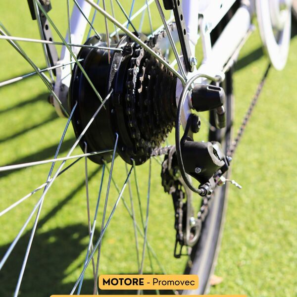 Montana e-city Bike Ayda
